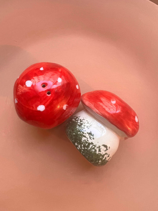 Red Mushroom Salt & Pepper Set