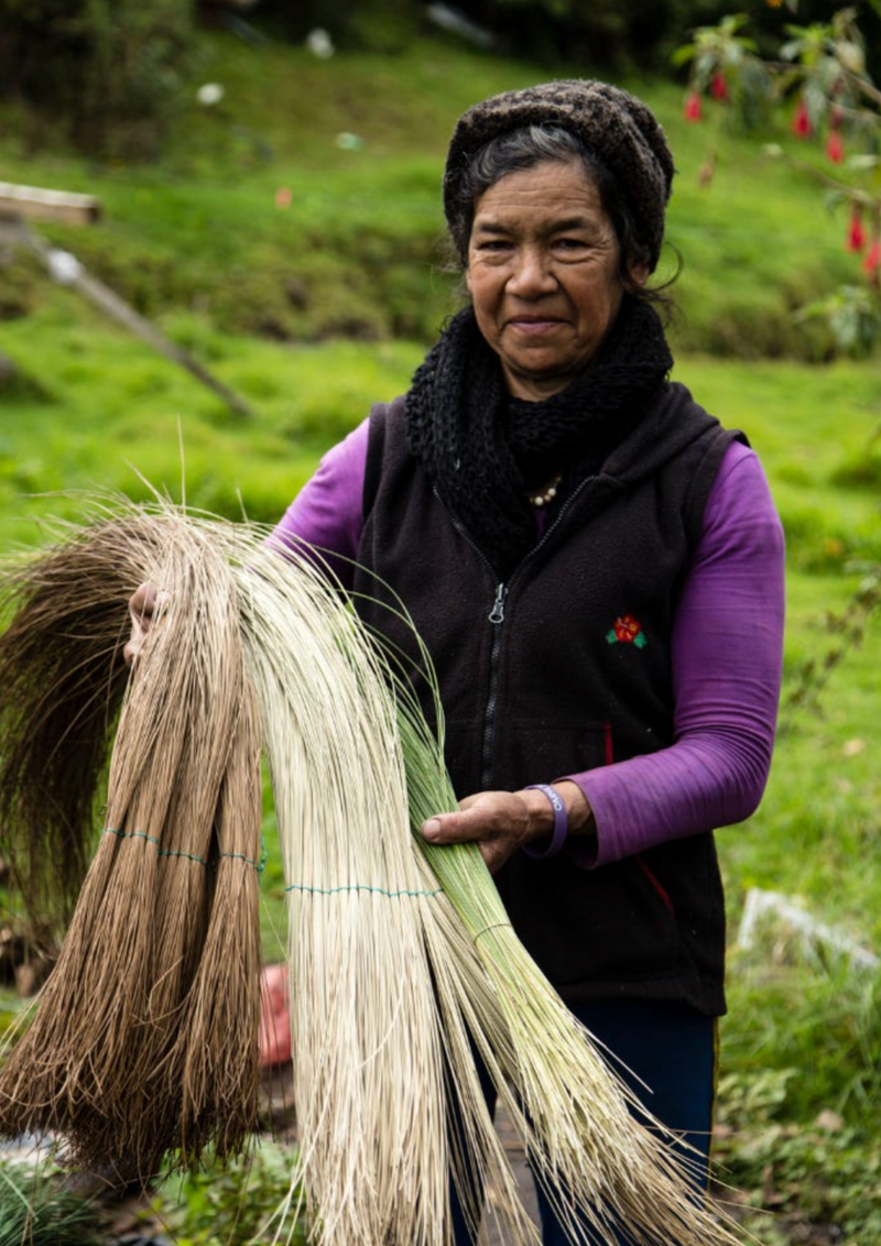 The Colombia Collective