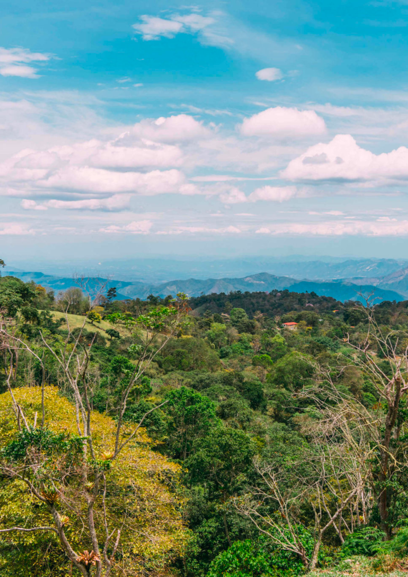 Bogota