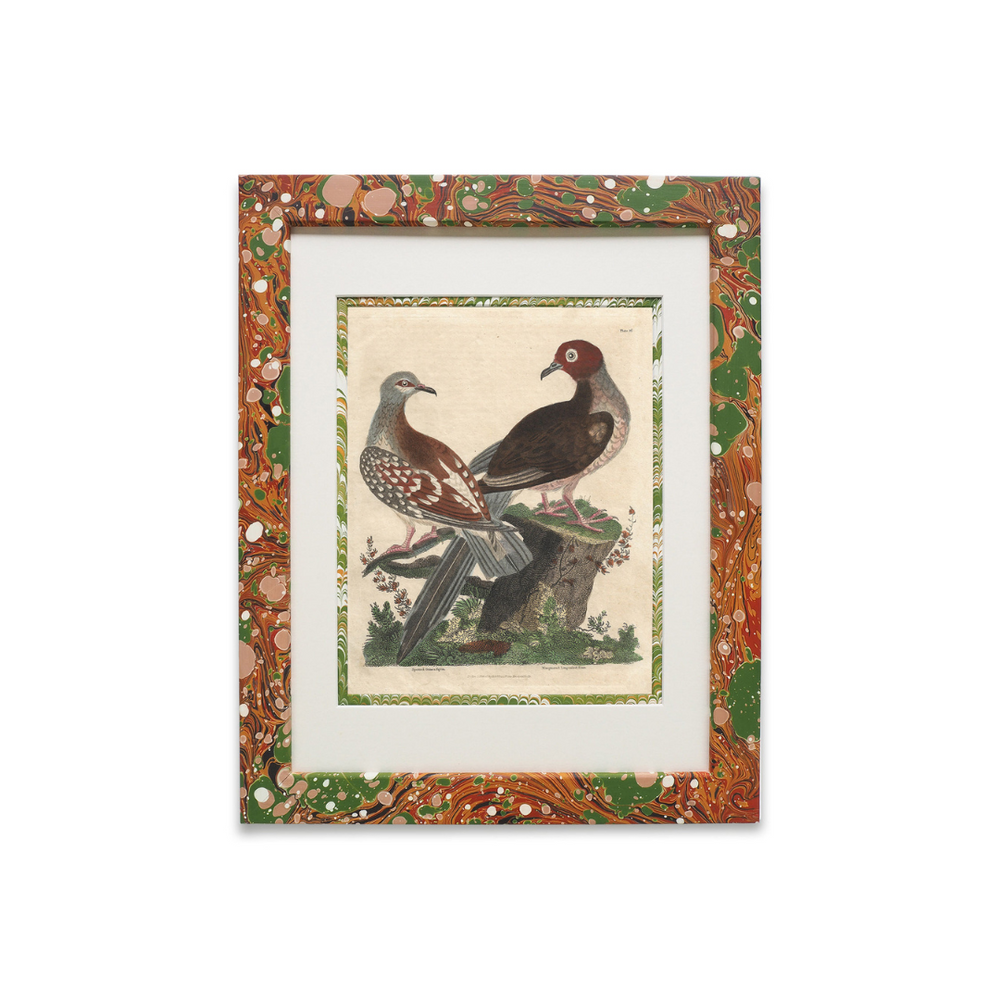 Buffon No.26 Igneus Framed Print