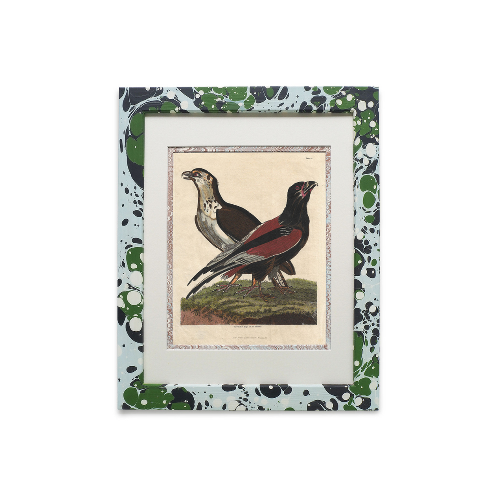 Buffon No.24 Glacier Framed Print