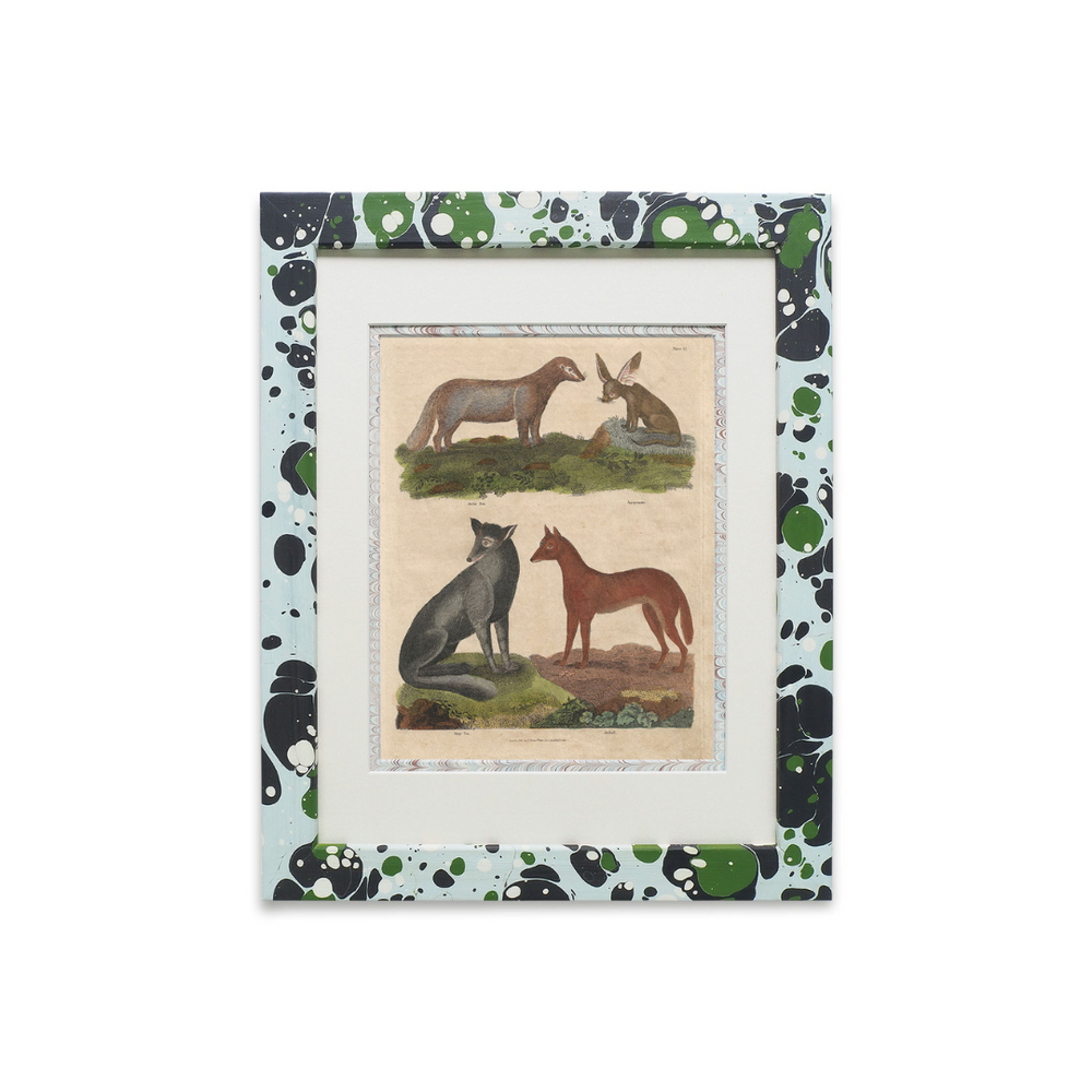 Buffon No.15 Glacier Framed Print