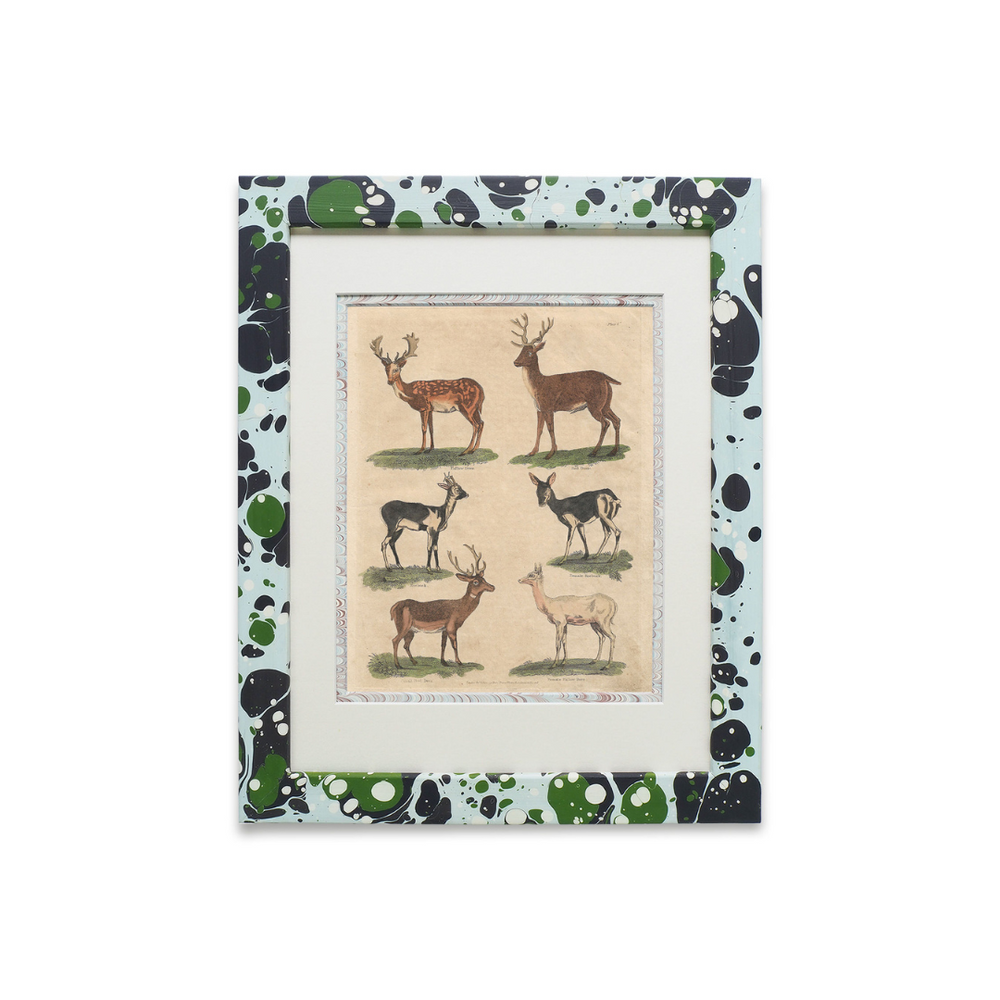 Buffon No.7 Glacier Framed Print