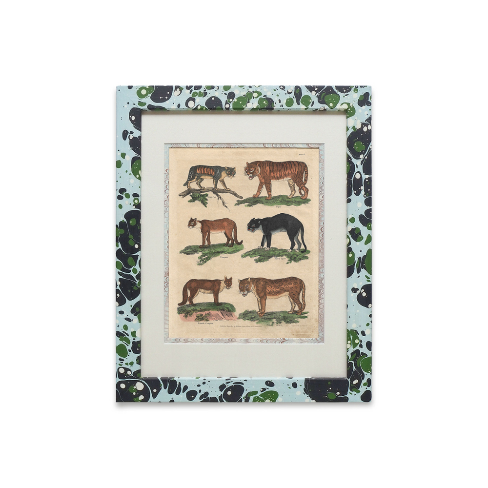 Buffon No.6 Glacier Framed Print