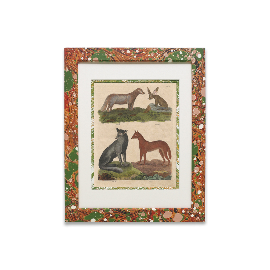 Buffon No.15 Igneus Framed Print