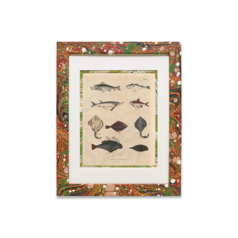 Buffon No.49 Igneus Framed Print