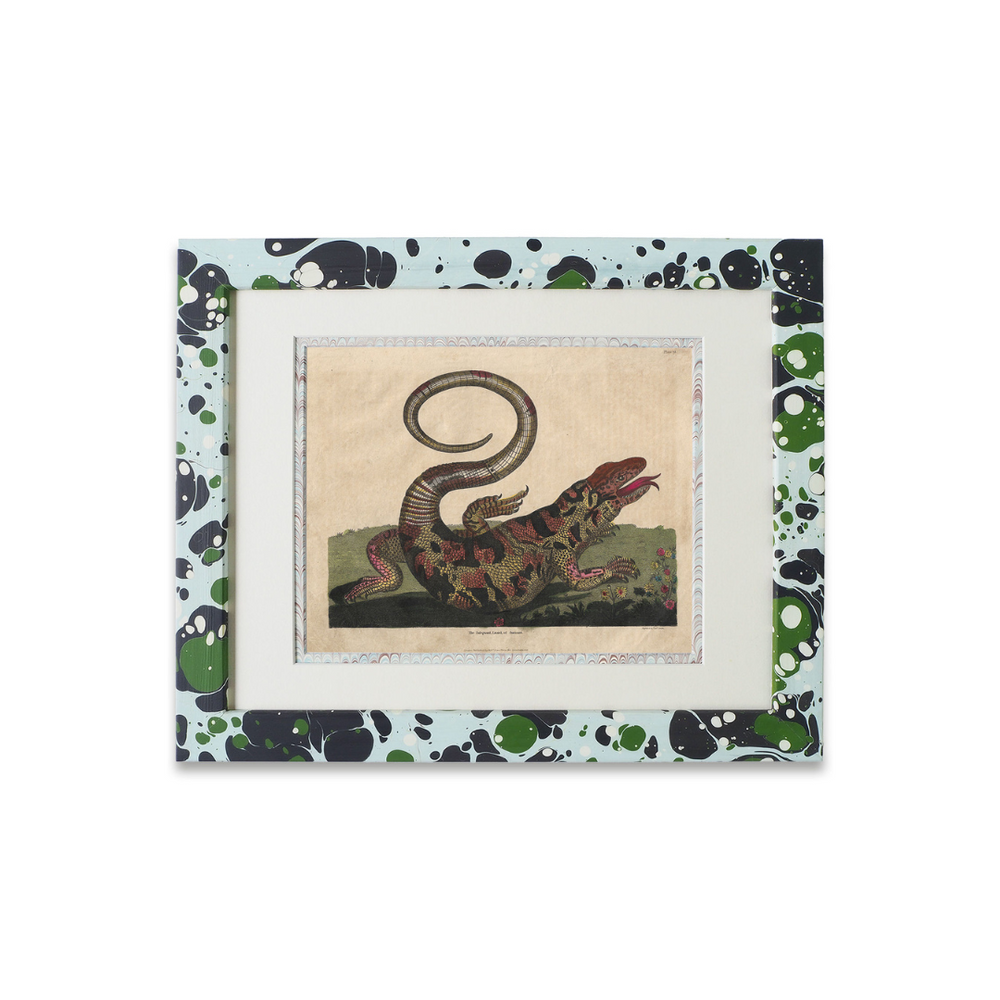 Buffon No.14 Glacier Framed Print