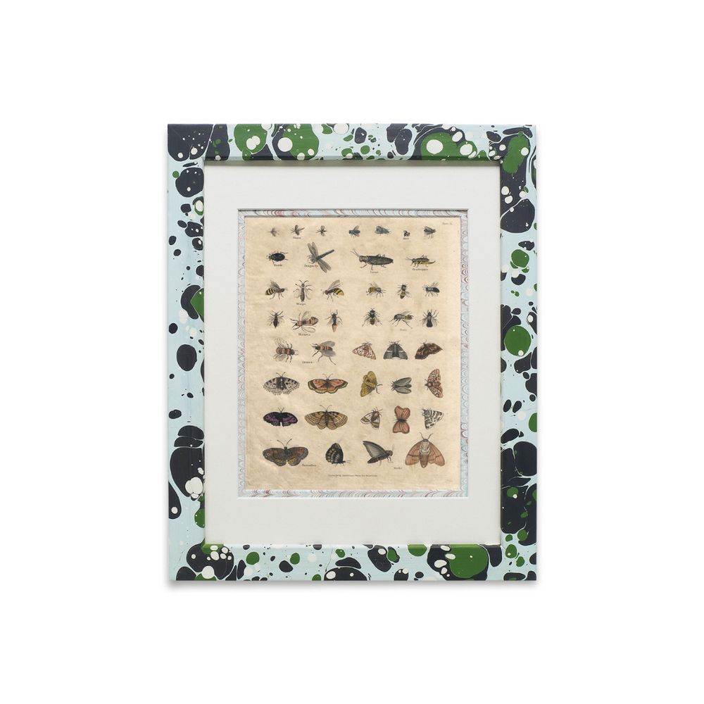 Buffon No.51 Glacier Framed Print