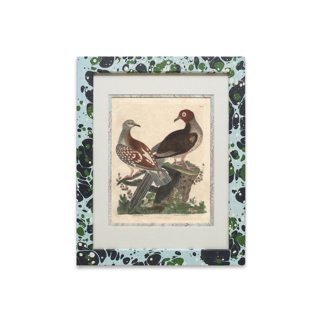 Buffon No.26 Glacier Framed Print