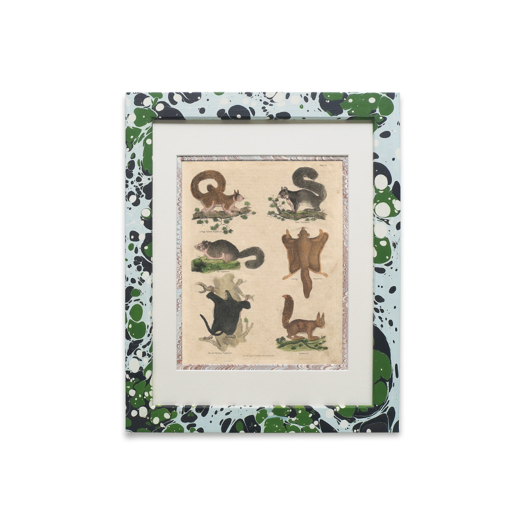 Buffon No.11 Glacier Framed Print