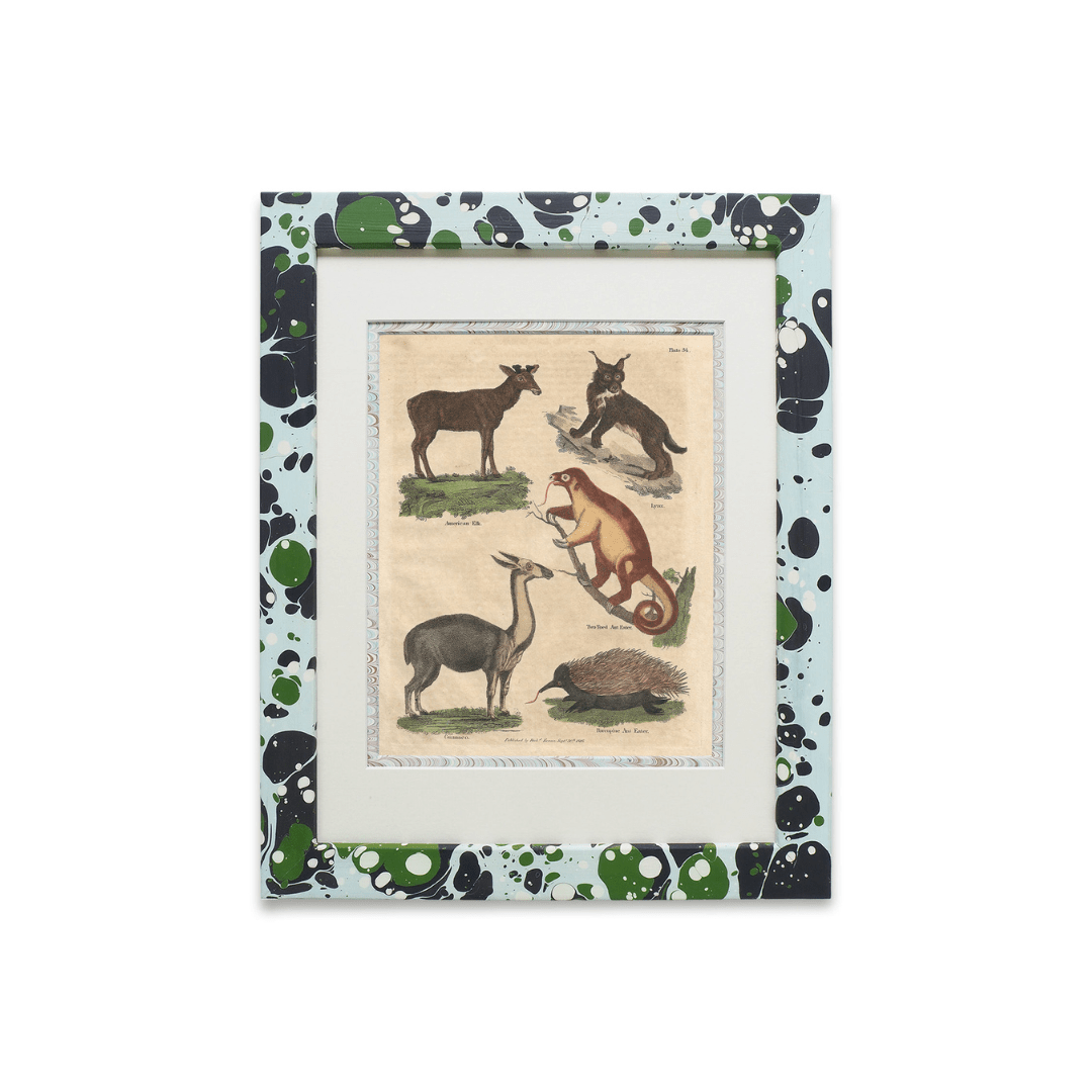 Buffon No.34 Glacier Framed Print