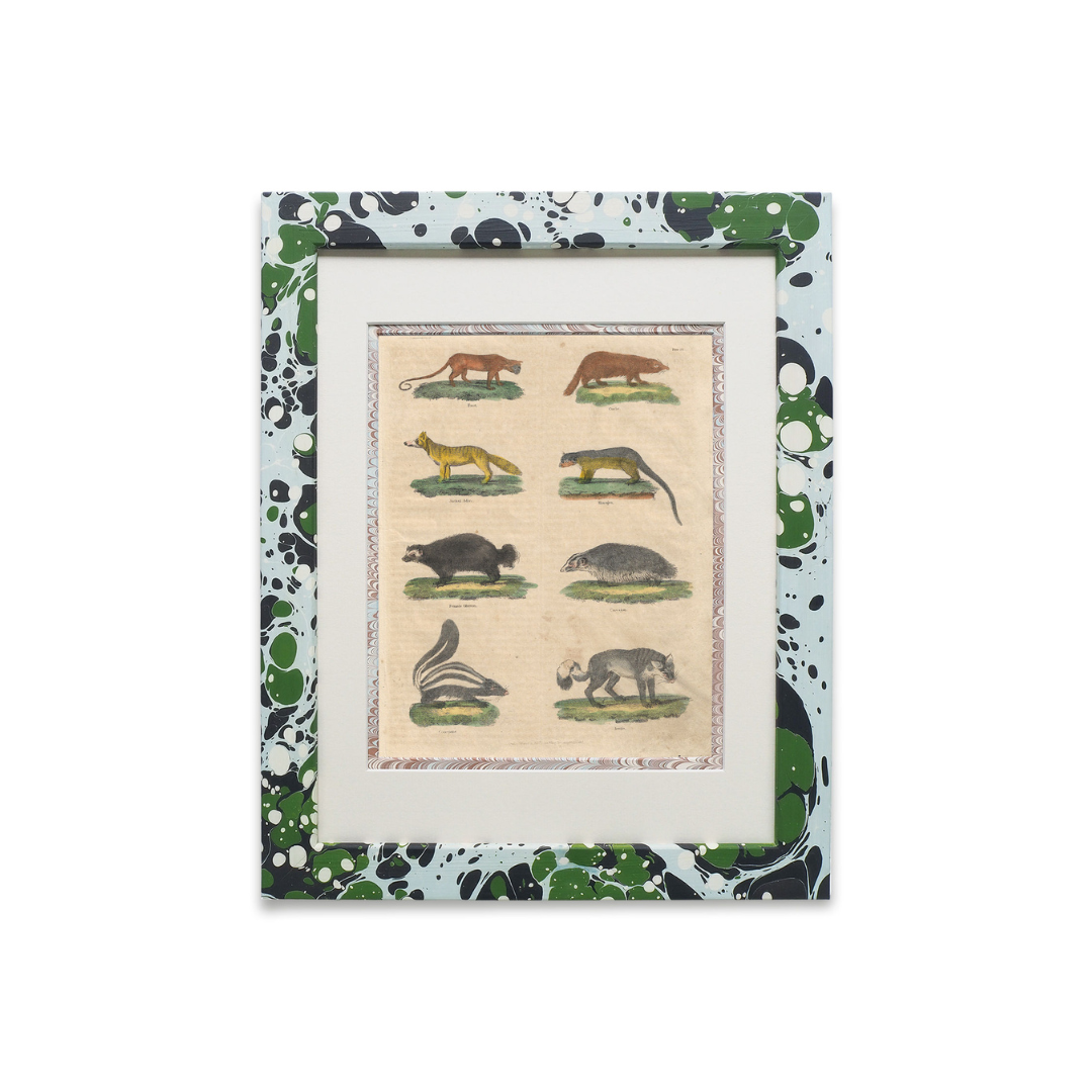 Buffon No.23 Glacier Framed Print