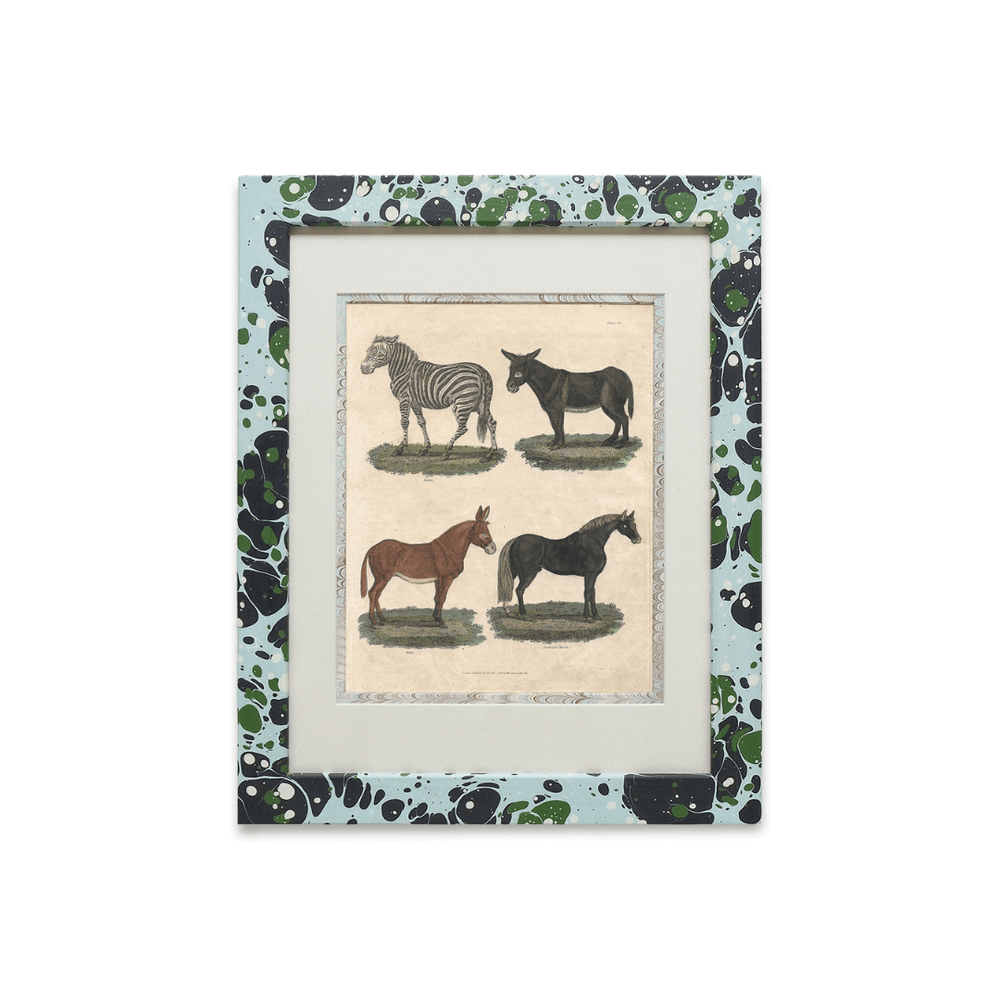 Buffon No.13 Glacier Framed Print