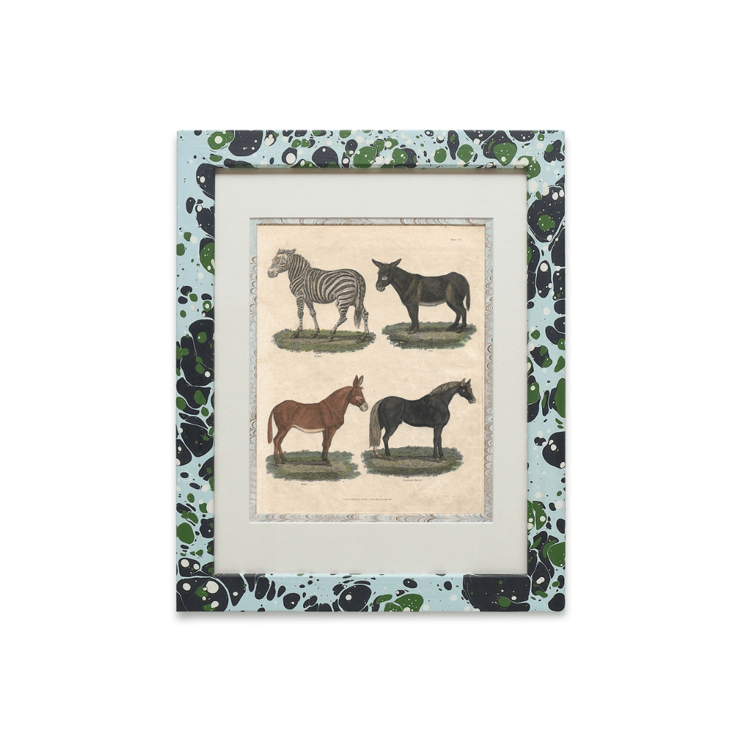 Buffon No.13 Glacier Framed Print