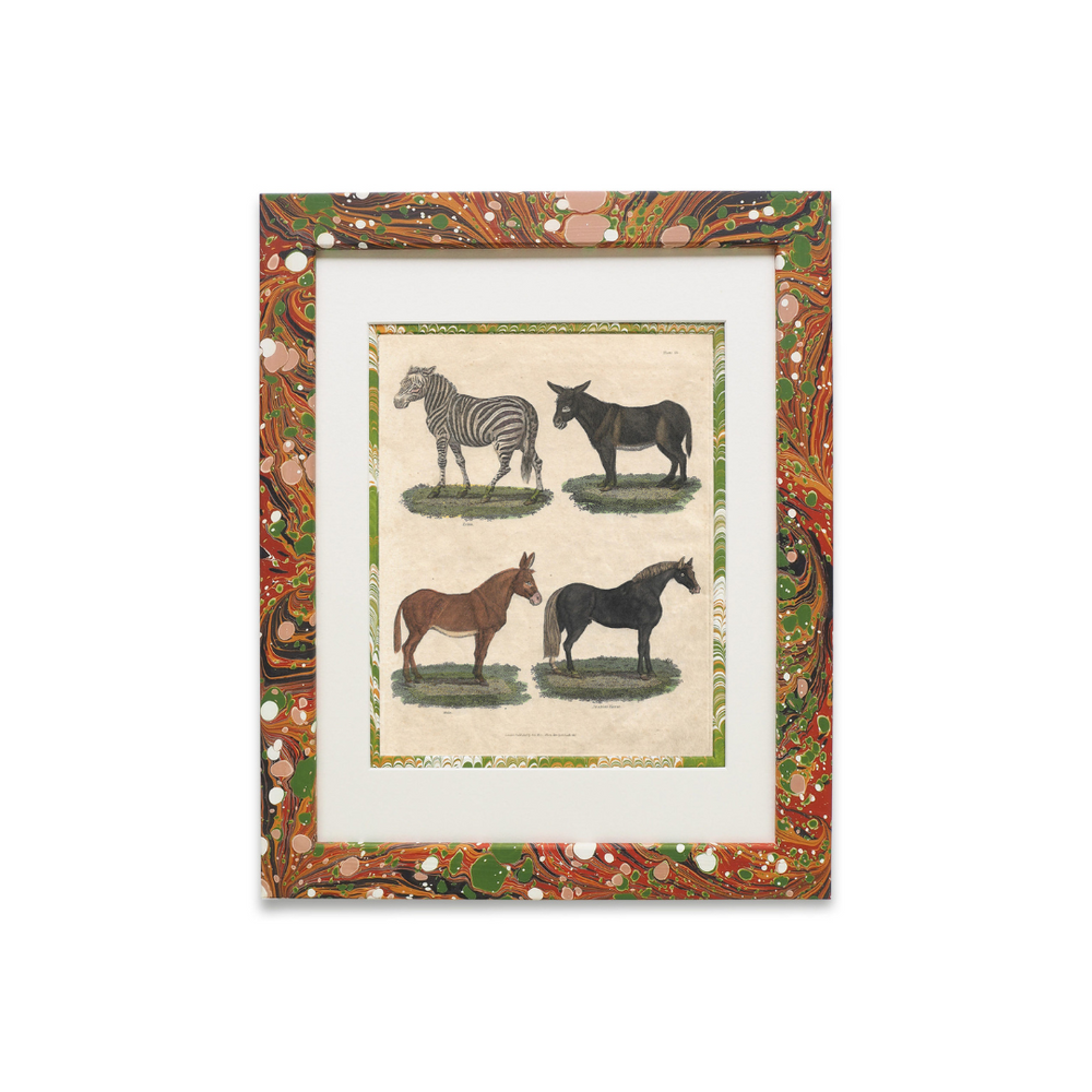 Buffon No.13 Igneus Framed Print