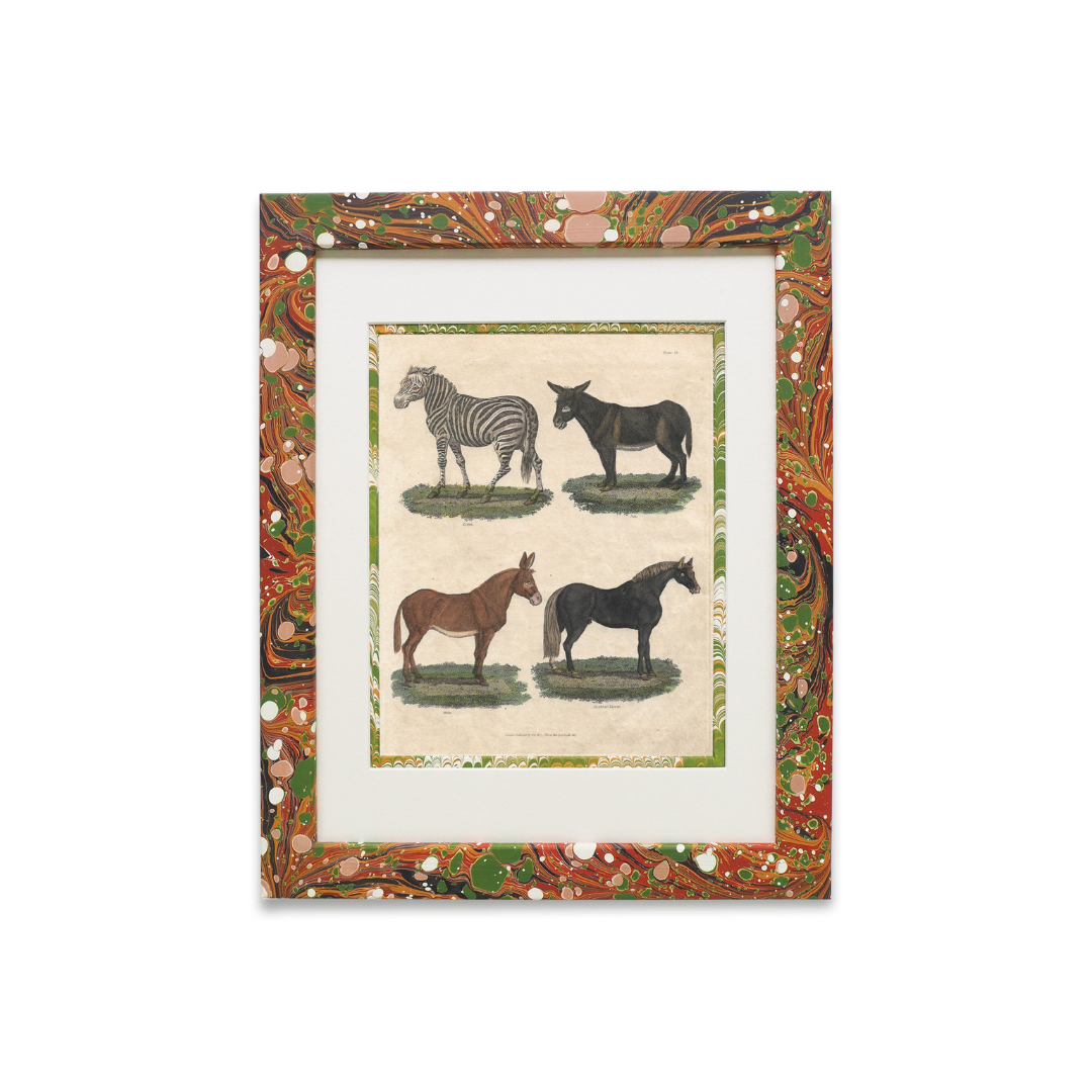 Buffon No.13 Igneus Framed Print