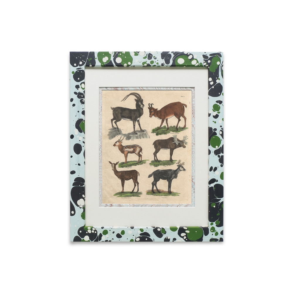 Buffon No.8 Glacier Framed Print