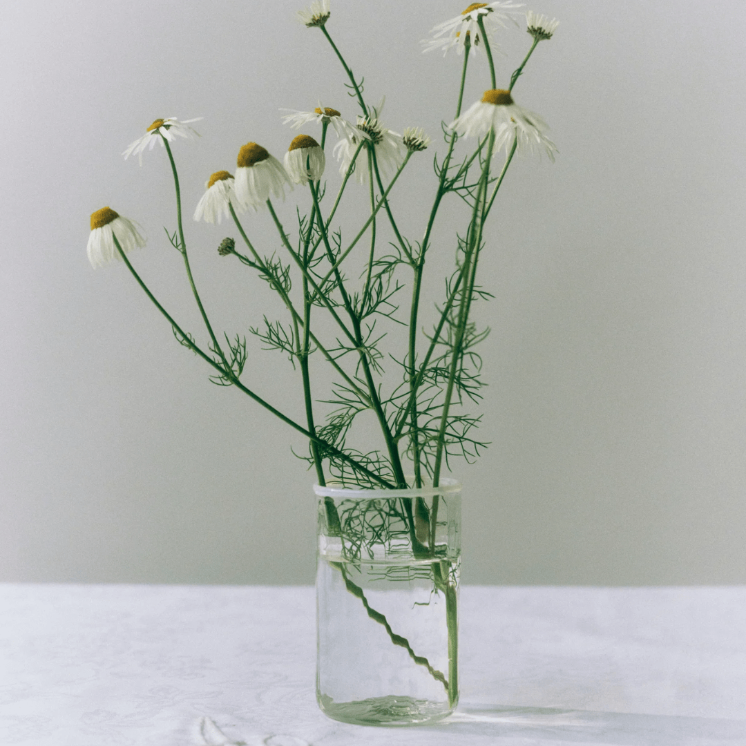 Peter Glass White Small