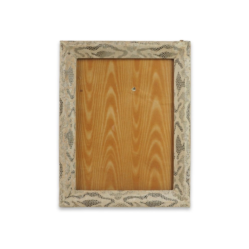 Antique Snake Print Frame