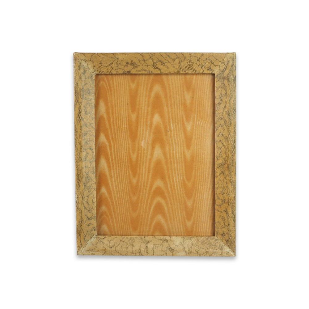 Antique Snake Print Frame