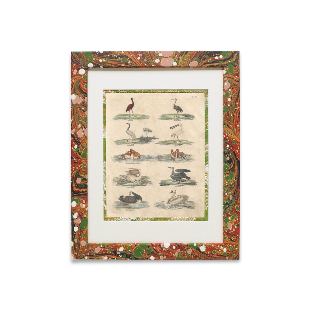 Buffon No.45 Igneus Artwork