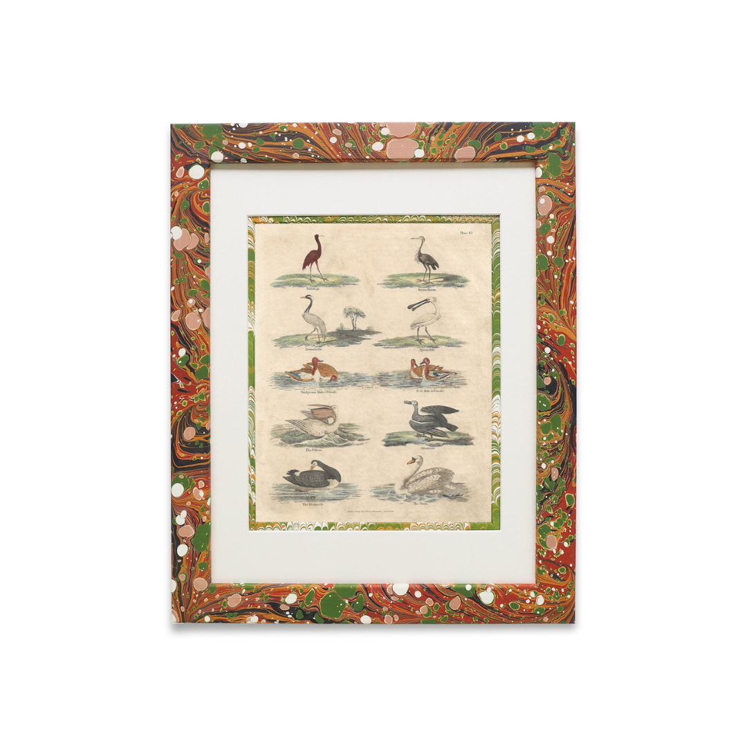 Buffon No.45 Igneus Artwork