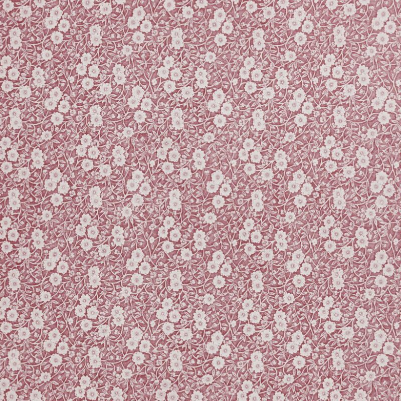 Calico Wallpaper Collaboration With Burleigh