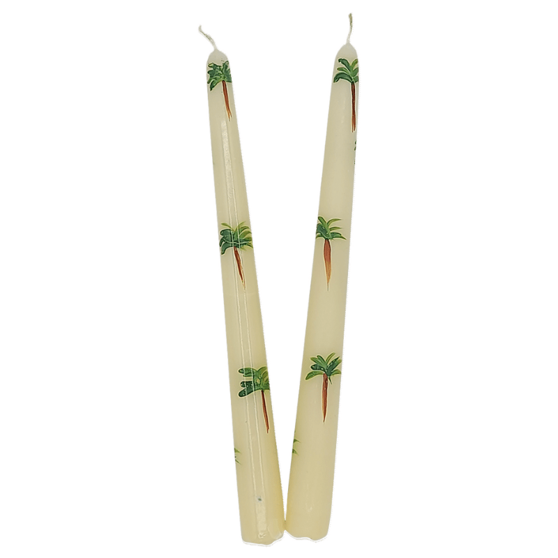 Candle -  Palm Set of 2