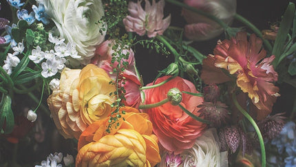 background-image