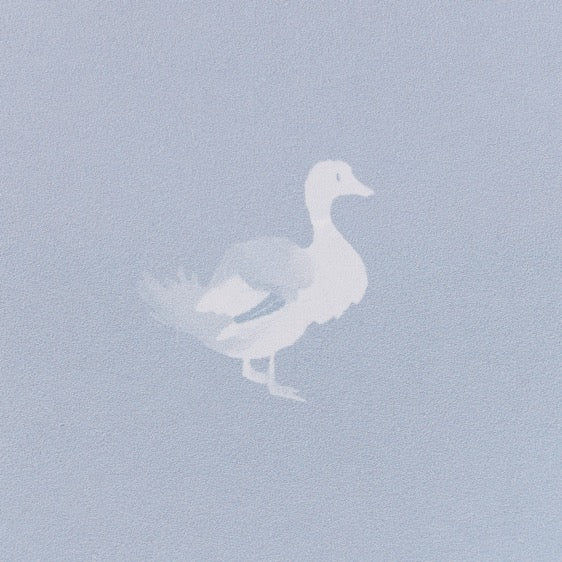 Ducks In A Row Wallpaper – BLUEBIRD