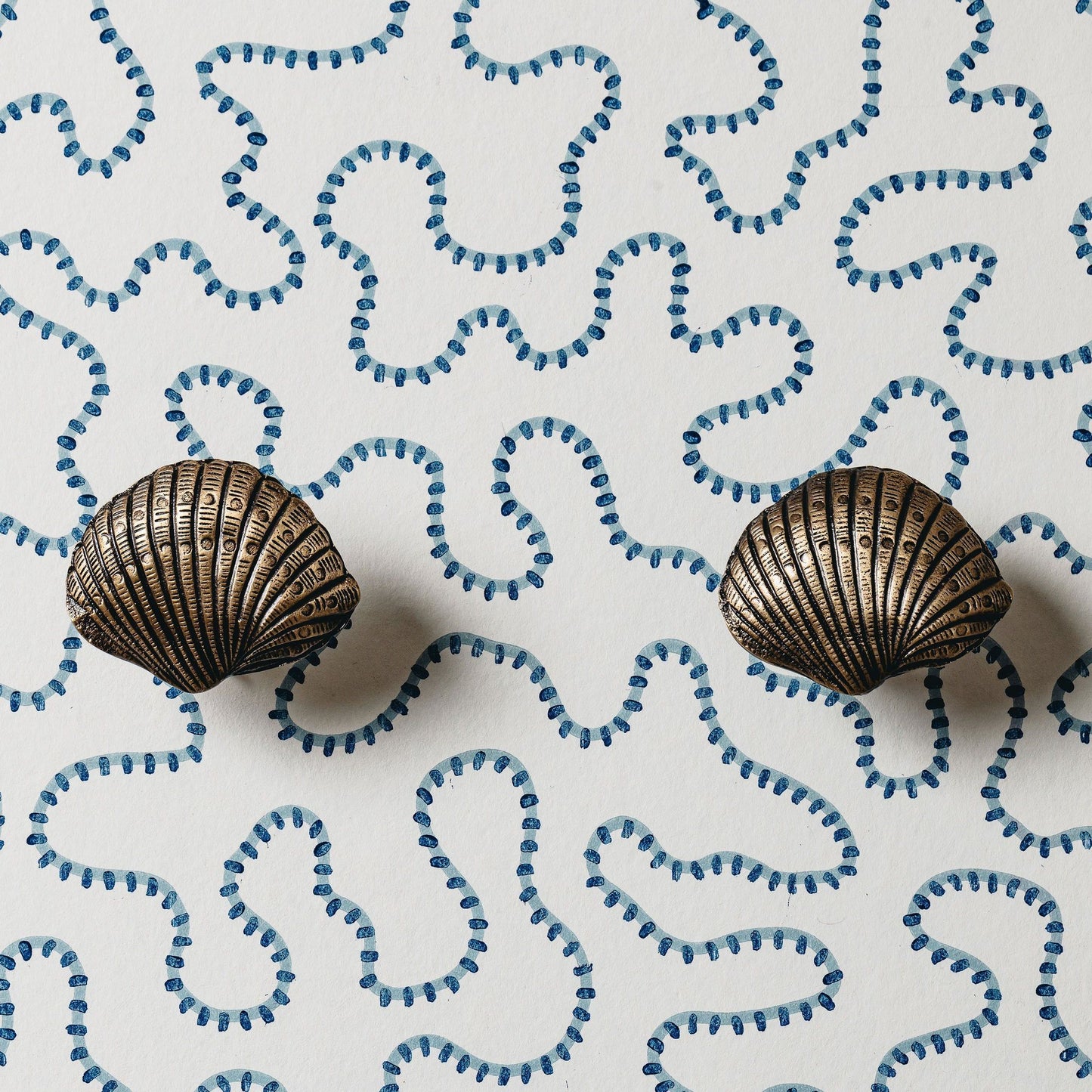 Cockle Shell Knob, Lacquered Brass