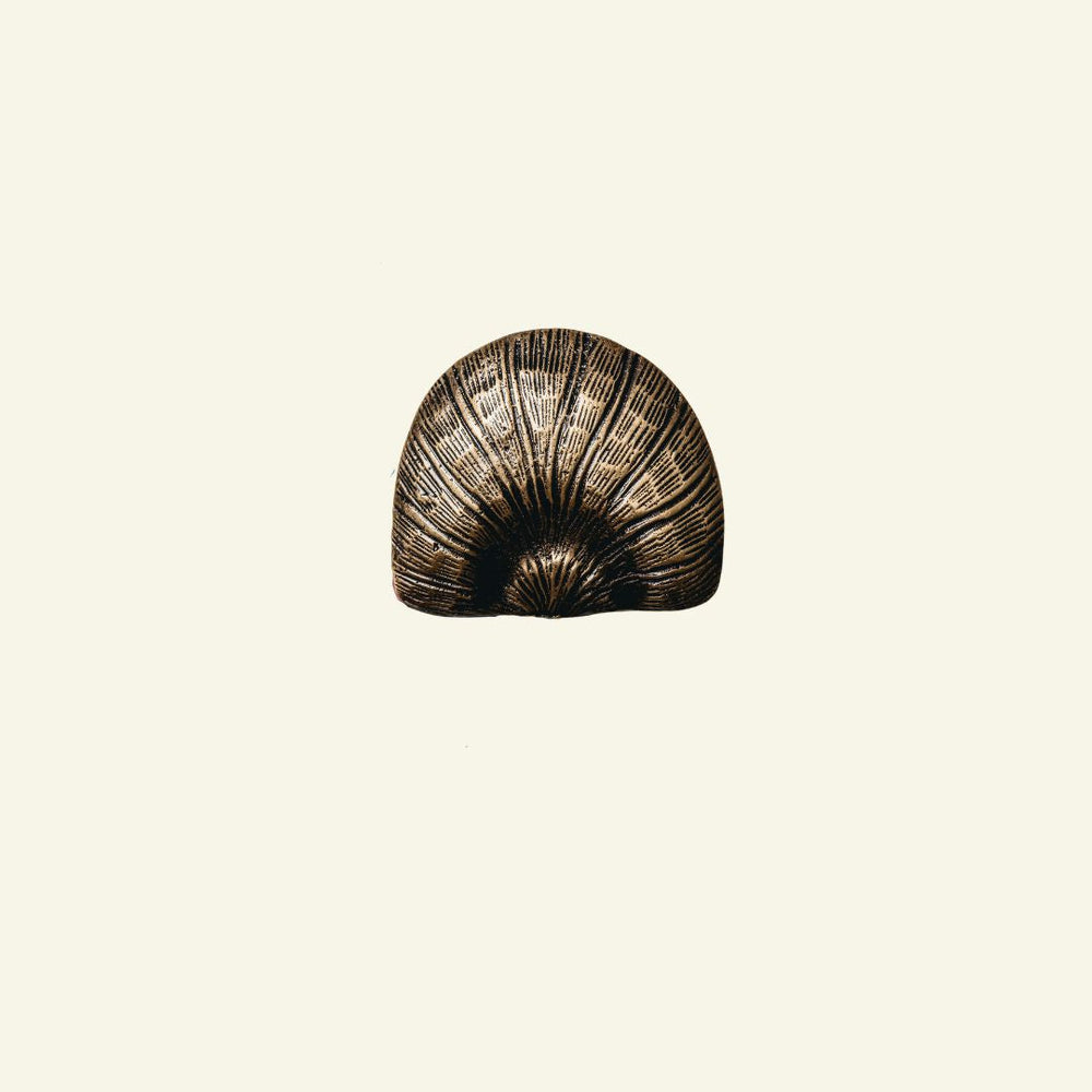 Cove Shell Knob, Antique Brass