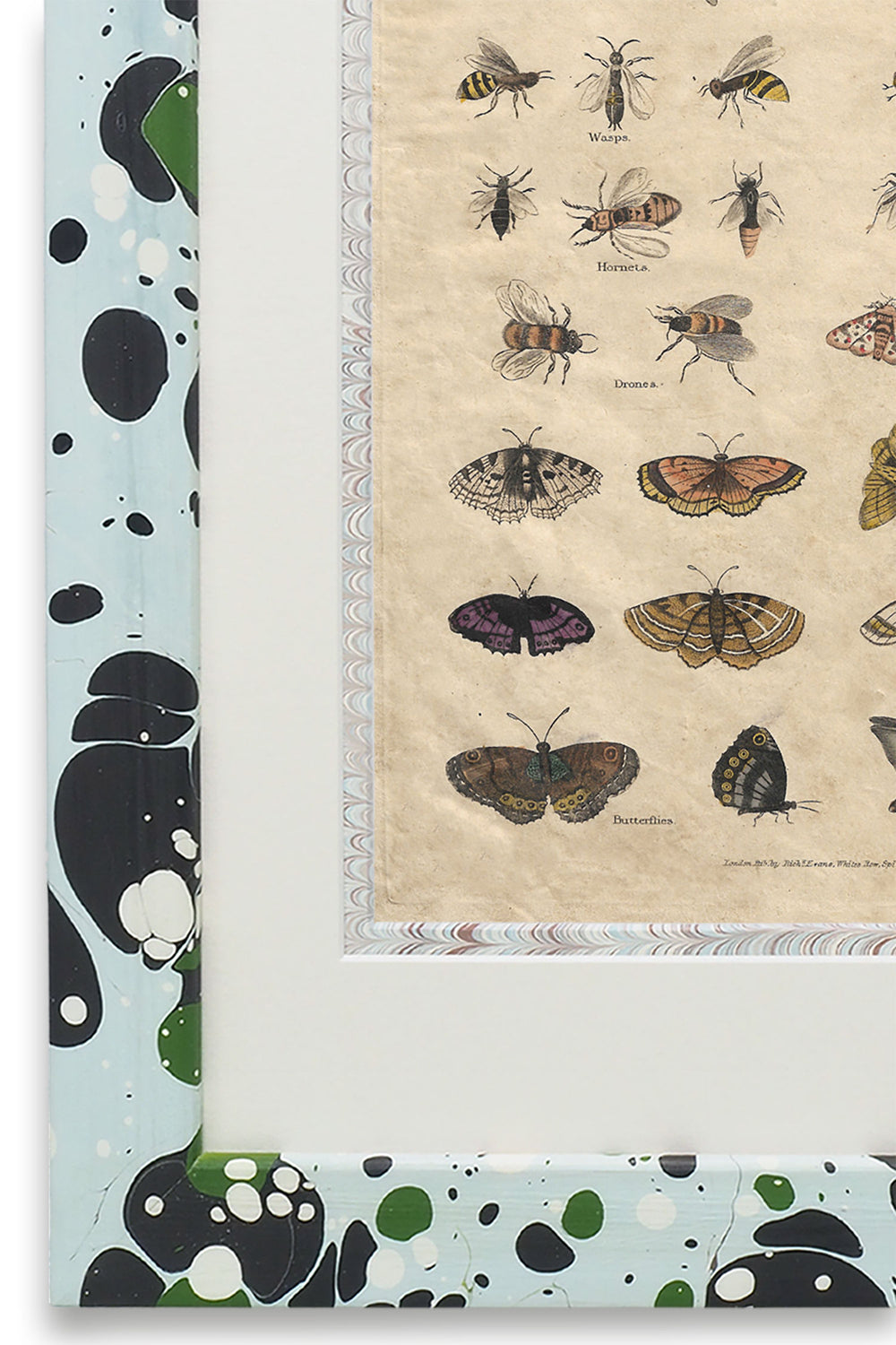 Buffon No.51 Glacier Framed Print