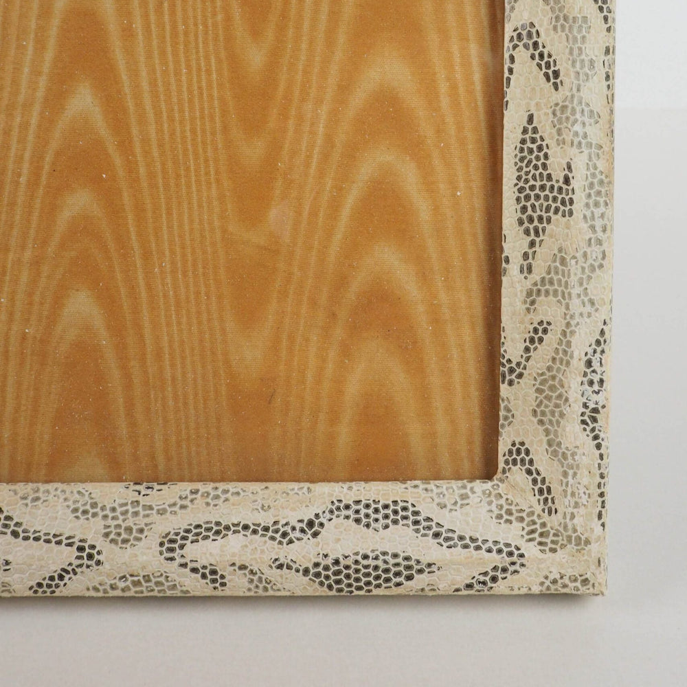 Antique Snake Print Frame