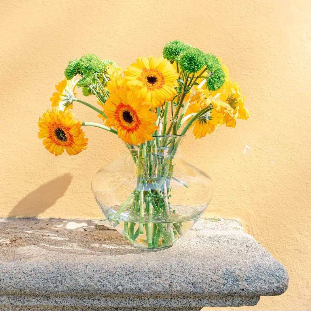 Siena Transparent Glass Vase