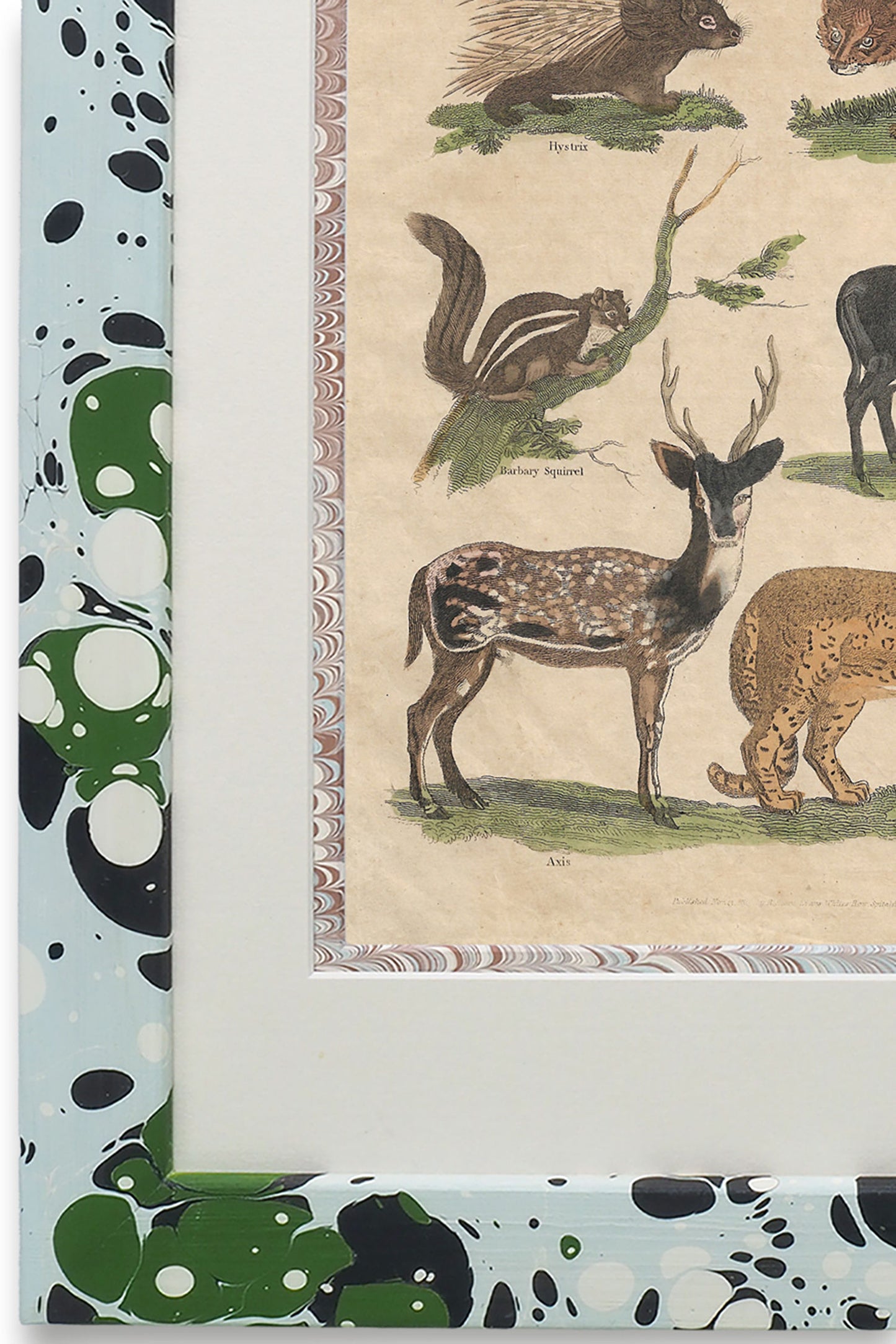 Buffon No.3 Glacier Framed Print