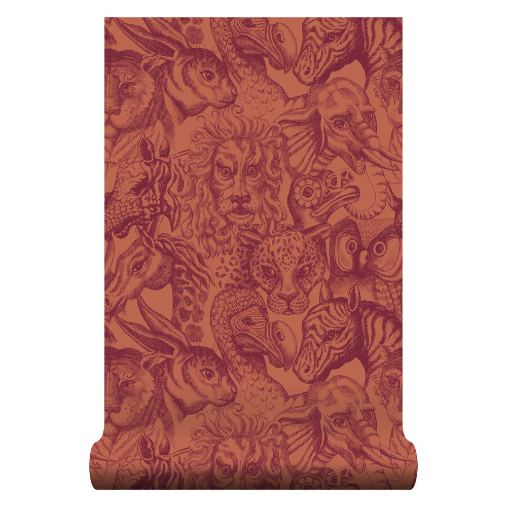 Rara Aleuria Wallpaper