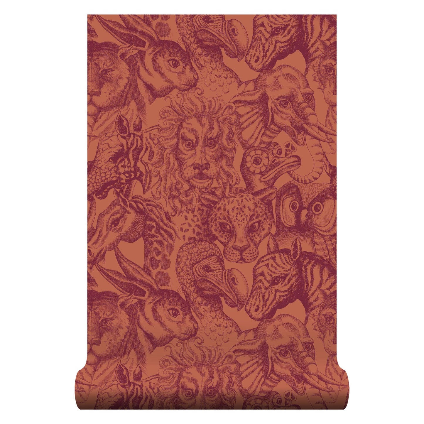 Rara Aleuria Wallpaper