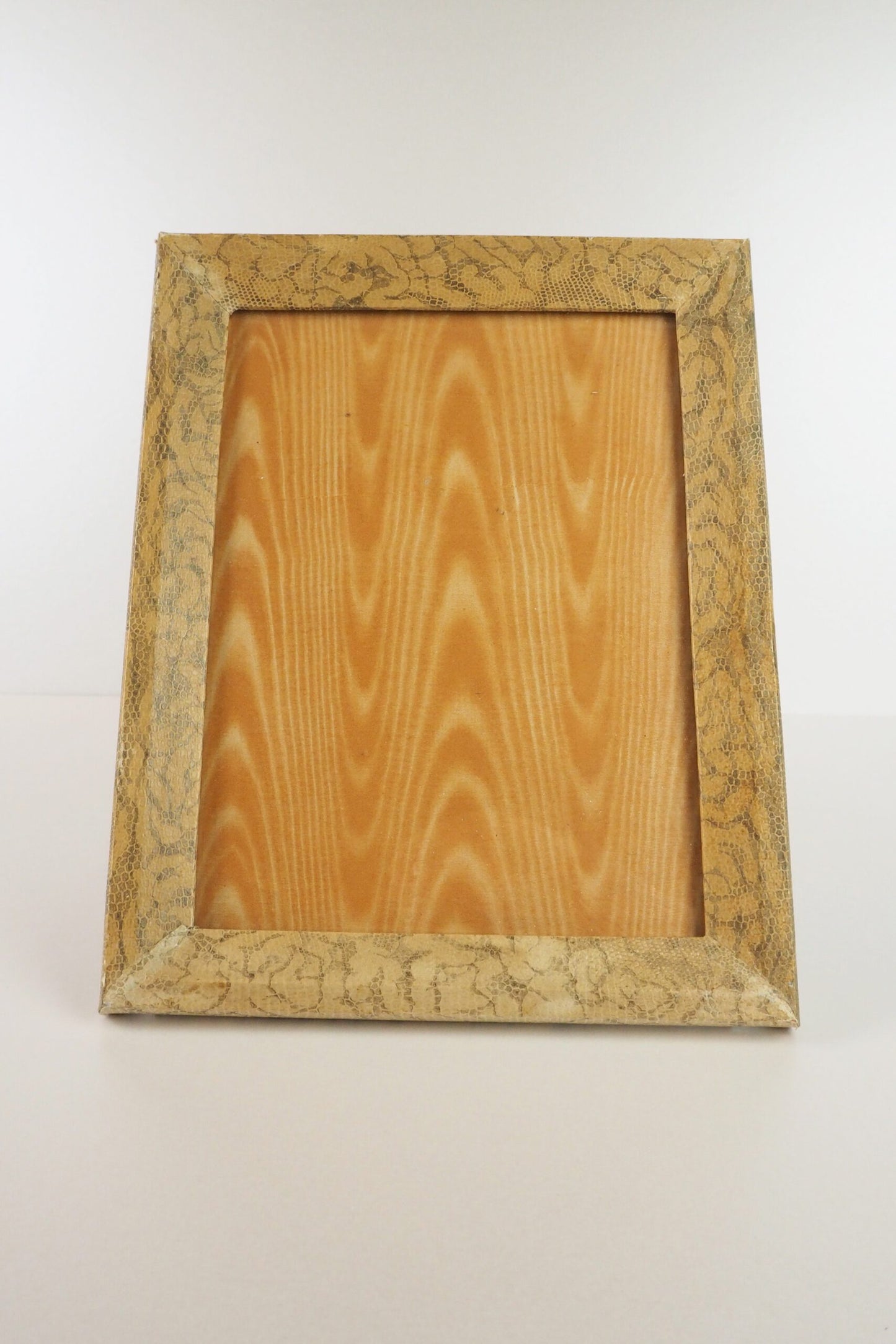 Antique Snake Print Frame