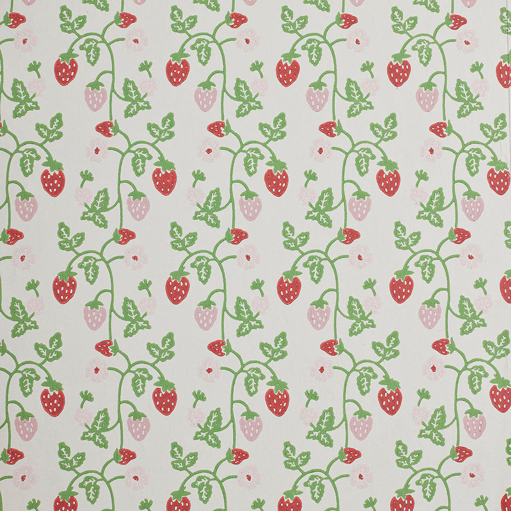 Strawberry Wallpaper Grass Sample