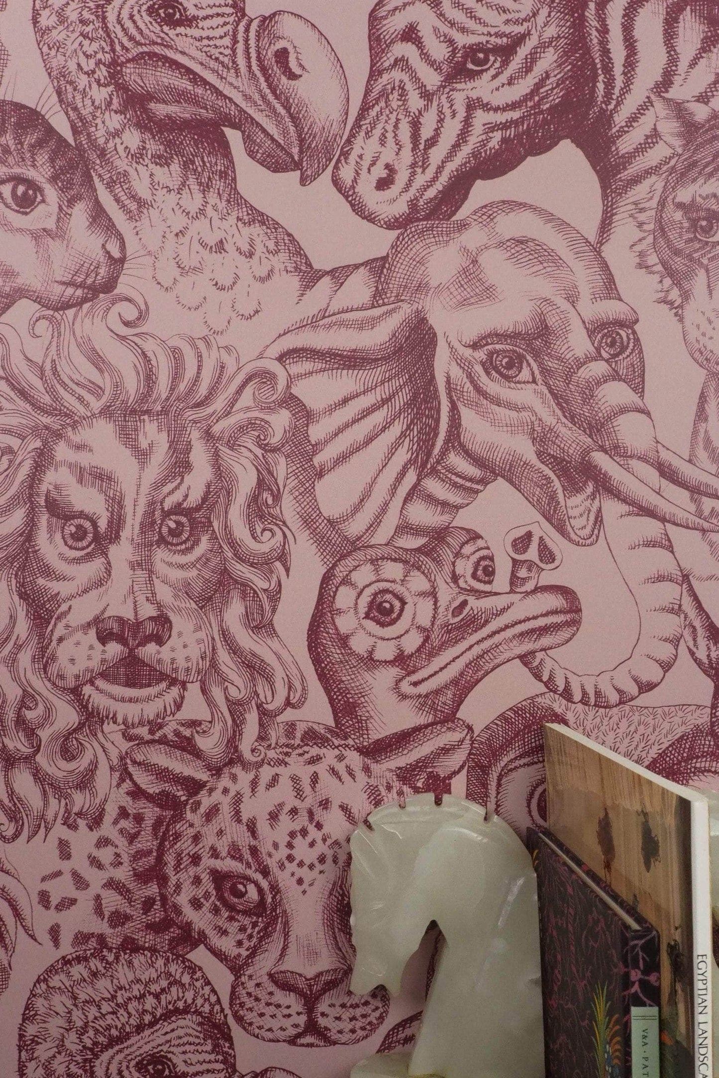 Rara Amaryllis Wallpaper