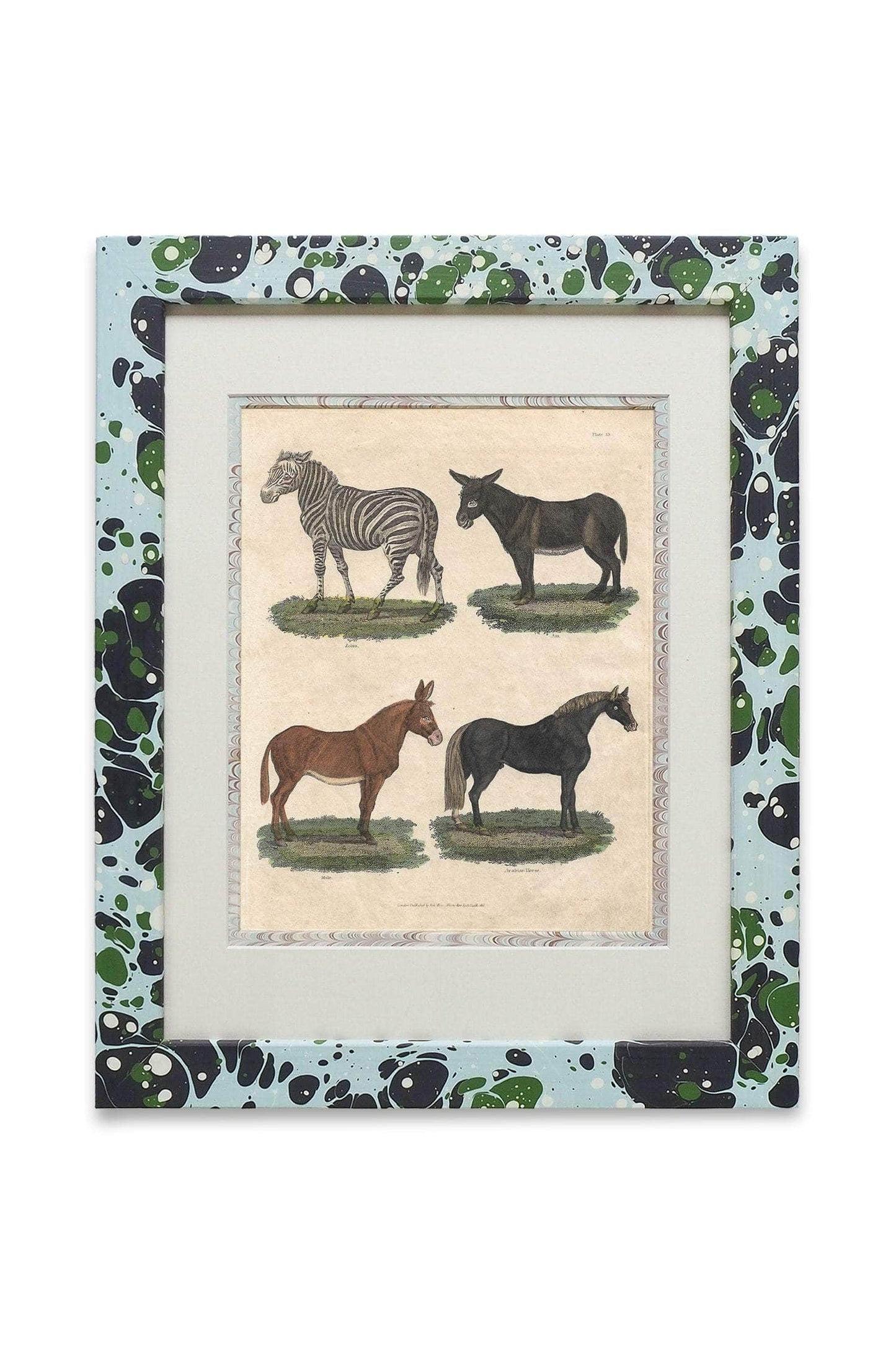 Buffon No.13 Glacier Framed Print