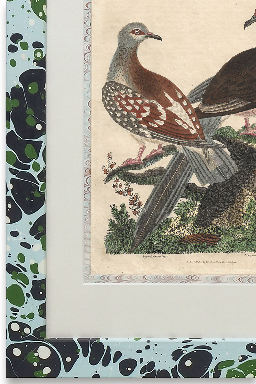 Buffon No.26 Glacier Framed Print