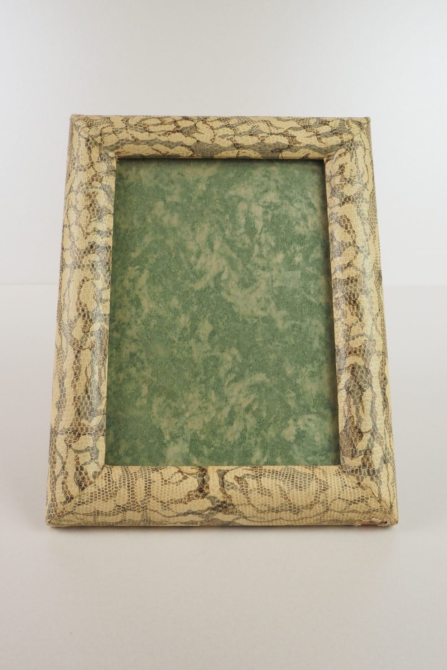 Antique Snake Print Frame