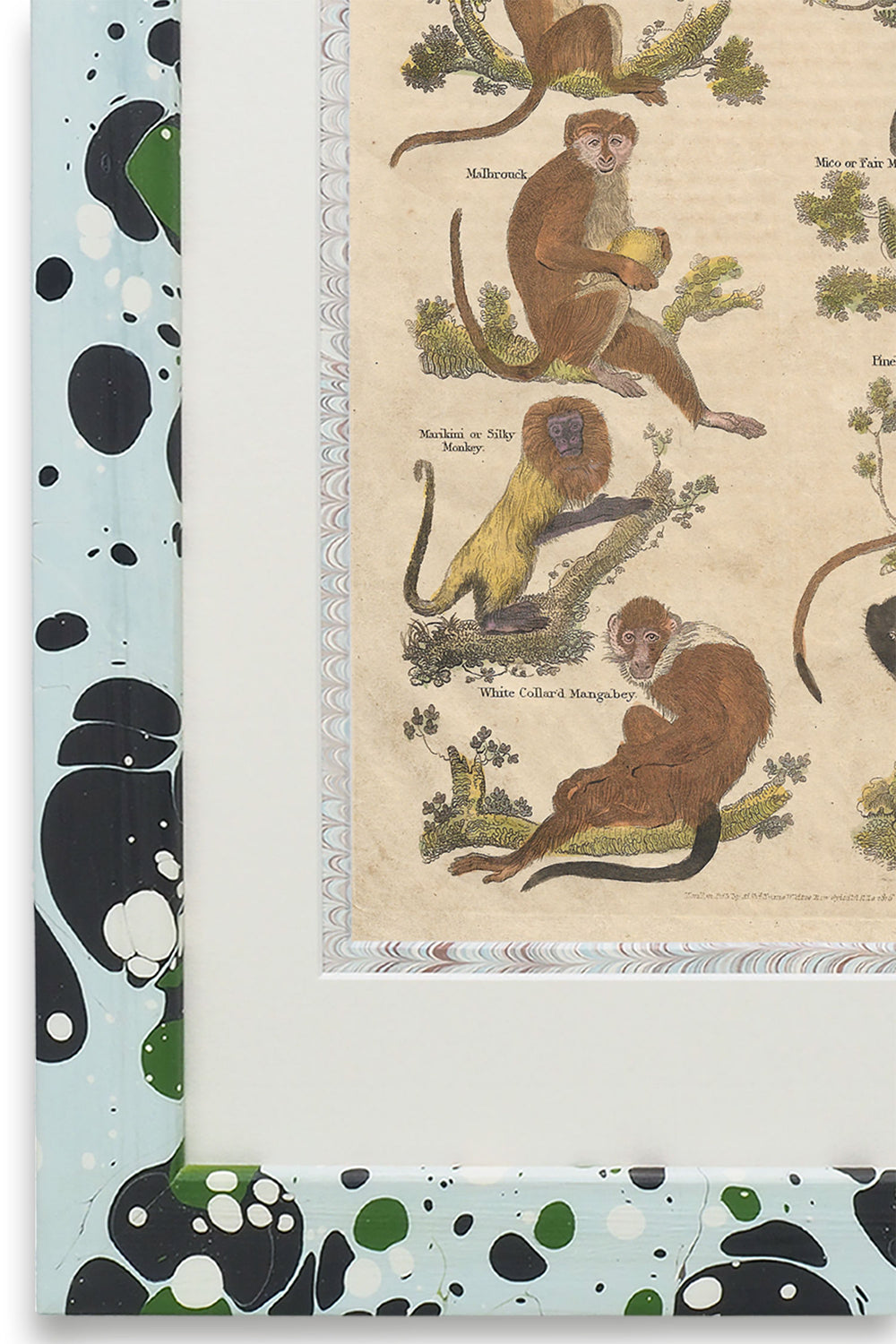 Buffon No.40 Glacier