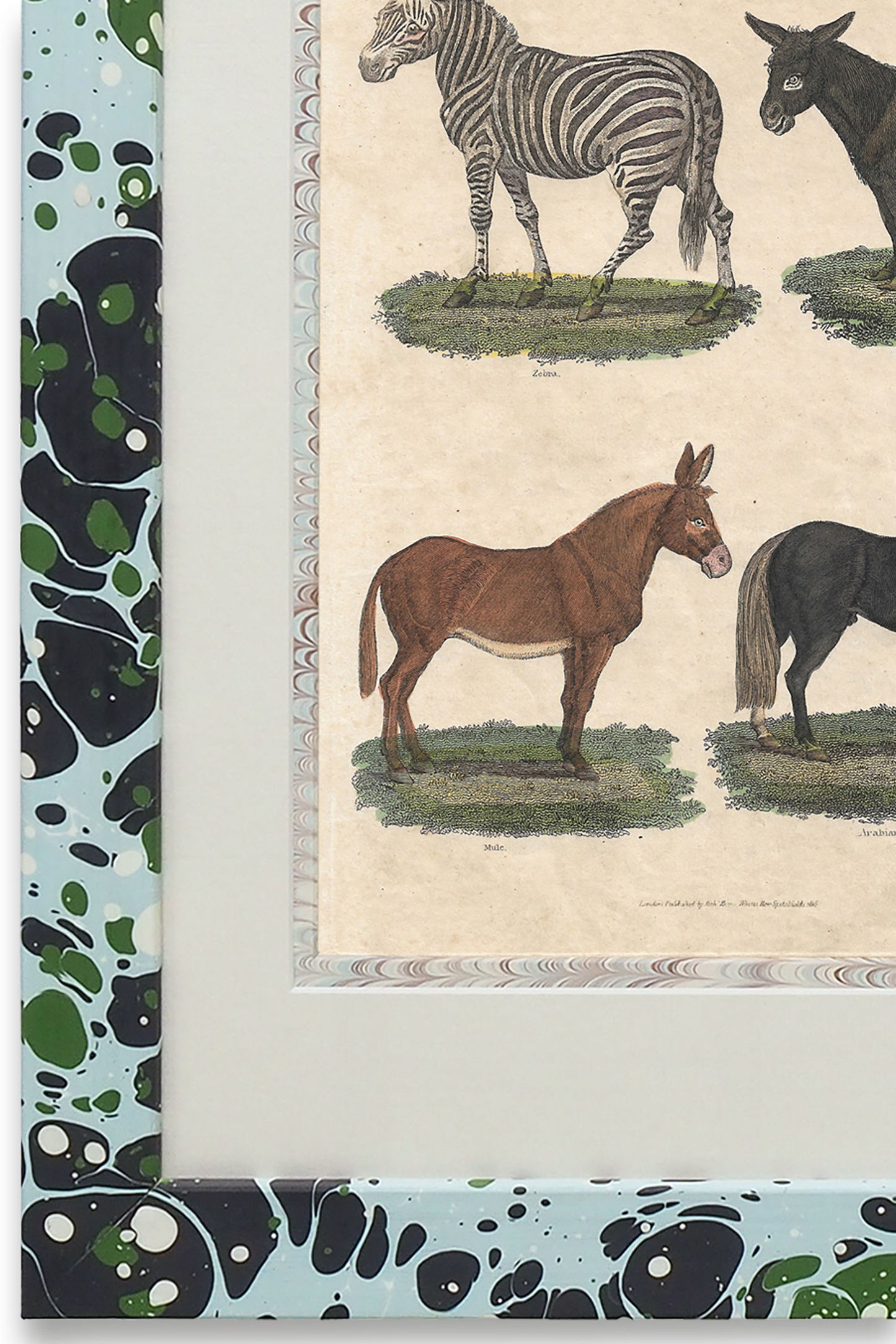 Buffon No.13 Glacier Framed Print