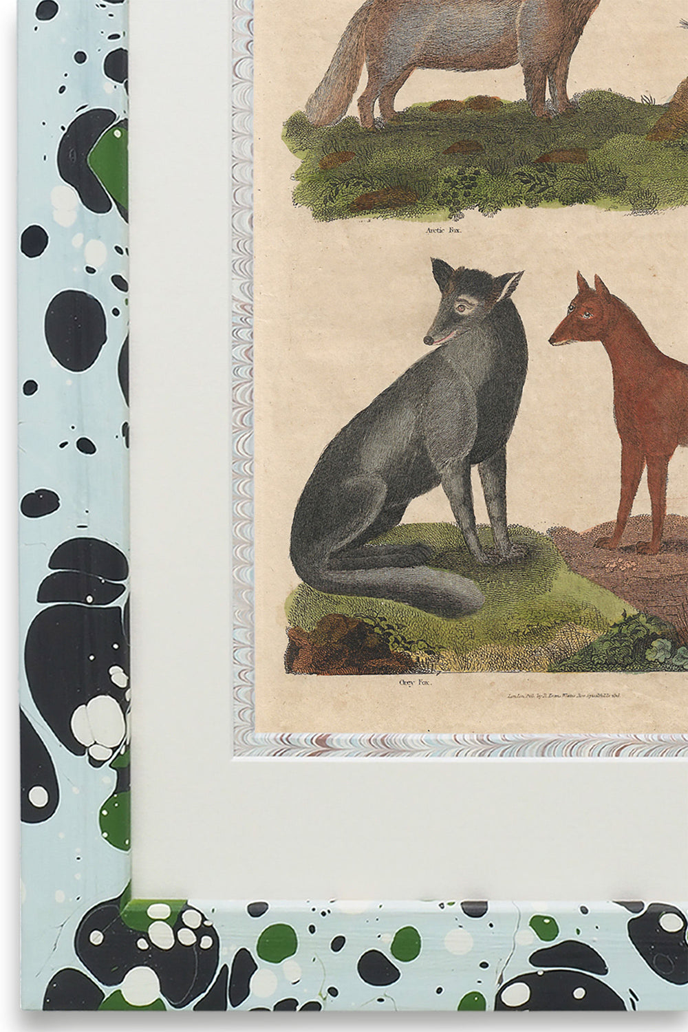 Buffon No.15 Glacier Framed Print