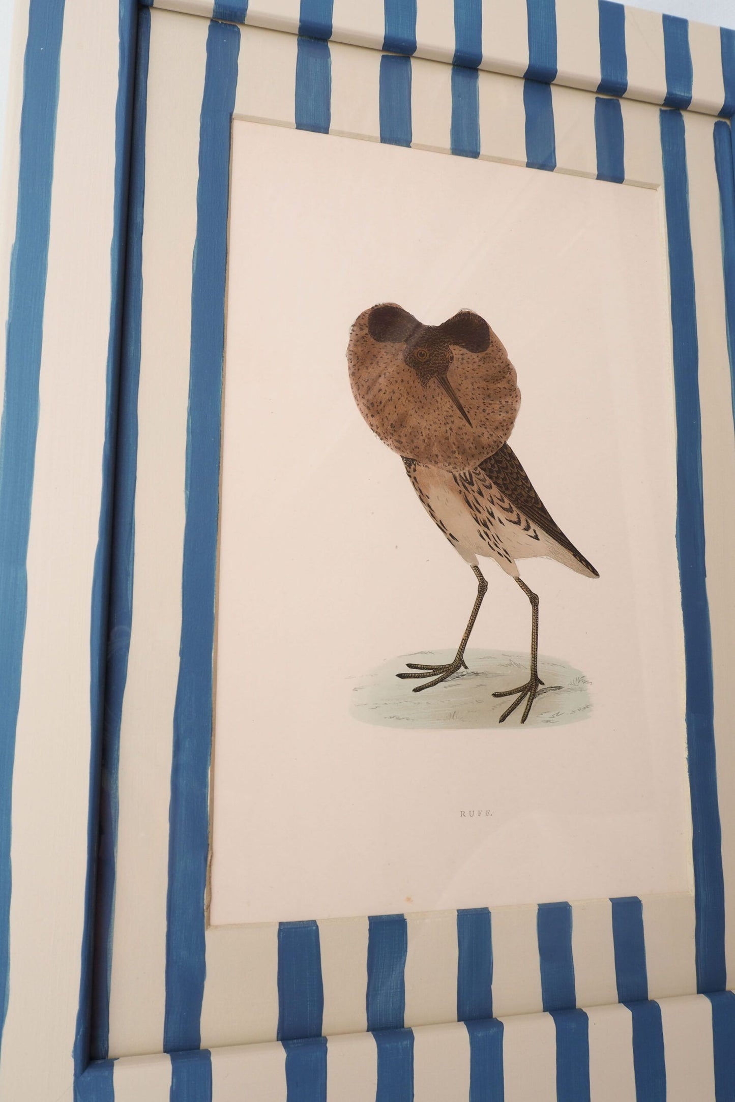 Antique Bird in Hand Painted Frame