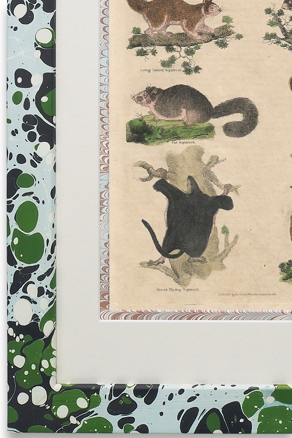 Buffon No.11 Glacier Framed Print