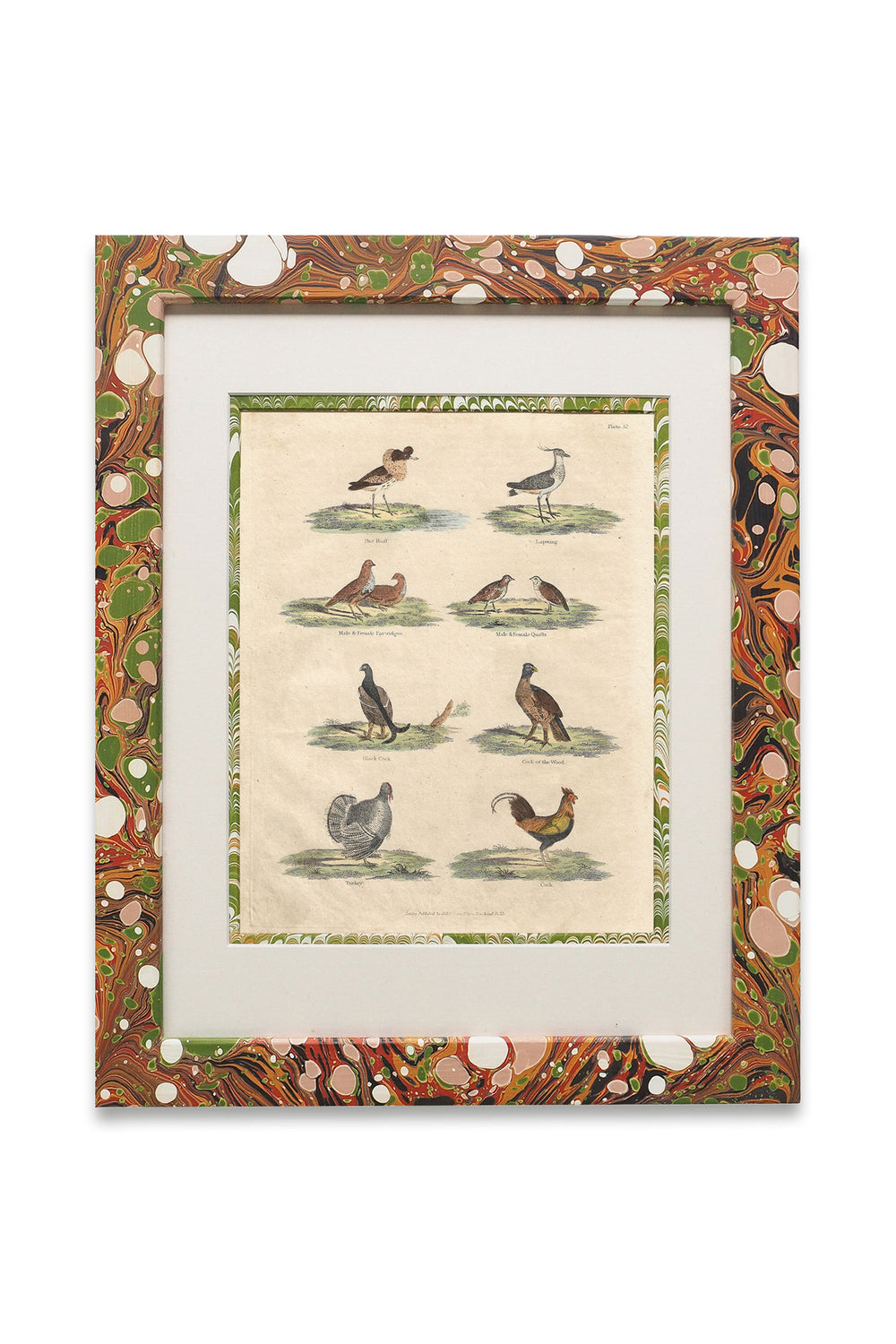 Buffon No.52 Igneus Framed Print